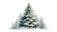 Snow-covered evergreen pine tree with soft misty forest background in watercolor style, creating serene winter landscape atmosphere.