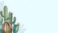 Watercolor cactus collection with blooming flowers on clean white background for botanical designs and desert themed projects.
