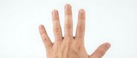 Open hand gesture showing palm and five fingers against white background for communication and greeting concepts.