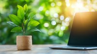 Small green plant in woven pot next to laptop on wooden desk with blurred natural bokeh background and sunlight. Fresh spring workspace concept.