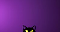 Black cat with yellow eyes peeking from bottom of frame against vibrant purple gradient background. Isolated design element suitable for Halloween graphics, greeting cards, and digital projects.