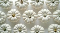 White decorative mini pumpkins arranged in rows on light background, creating modern minimalist autumn pattern for seasonal decor and holiday design.