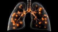 Glowing orange lights inside translucent human lungs on black background showing respiratory system anatomy with illuminated bronchial tree structure.
