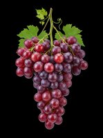 Fresh red grape bunch with green leaves, isolated on transparent background. Ready for stickers, print on demand, sublimation, T-shirt design, and clipart use.