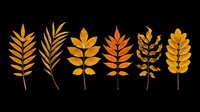 Autumn leaves collection in warm orange and yellow tones, isolated on transparent background. Ready for stickers, t-shirt design, sublimation, and print on demand.