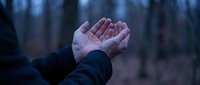 Person with cupped hands reaching upward in forest setting during twilight hour, symbolizing hope, prayer, and spiritual connection with nature.