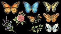 Colorful butterflies and wildflowers isolated on transparent background, ready for t-shirt design, clipart, stickers, sublimation, and print-on-demand projects.