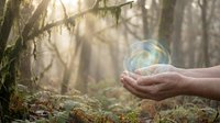 Hands holding glowing crystal sphere in mystical forest with sunbeams streaming through trees creating magical atmosphere for spiritual and fantasy concepts.