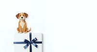 Brown and white puppy sitting on white gift box with blue ribbon bow, isolated on white background, ready for pet care, animal greeting cards, veterinary services, dog training, pet shop, and holiday gift designs.