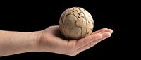 Caucasian hand holding a cracked wooden globe sphere on transparent background, ready for design use in t-shirts, clipart, stickers, print-on-demand products, and sublimation projects.