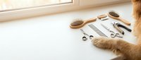 Ginger cat paw reaching toward grooming tools including wooden brush, metal comb, and nail clippers arranged on white surface near window for pet care and hygiene.