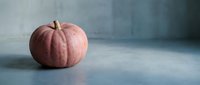 Pink heirloom pumpkin on gray surface with soft natural lighting for autumn harvest seasonal decoration and fall cooking ingredients.