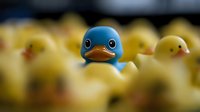 Blue rubber duck stands out among yellow ducks, shallow depth of field creates dramatic contrast and unique perspective for concepts of individuality and leadership.