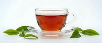 Glass cup of hot tea with fresh green leaves on white background isolated for healthy beverage and wellness design projects.