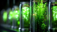 Glowing green plants growing in glass test tubes in laboratory setting, biotechnology research experiment with fluorescent organisms in dark environment.