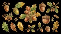Autumn acorns and oak leaves isolated on transparent background. Ready for t-shirt design, clipart, stickers, sublimation, print-on-demand products and digital crafts.