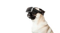 Adorable pug dog wearing virtual reality headset on white background, isolated for technology and pet concept designs, gaming and digital innovation themes.
