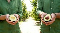 Farmer in green shirt holding halved avocado with pit and flesh visible in orchard setting, showcasing fresh produce for agriculture and food industry use.