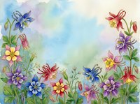 Watercolor columbine flowers in pink, blue, purple and yellow on soft sky background with copy space for greeting cards.