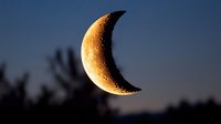 Crescent moon glowing golden against twilight sky with silhouetted trees, lunar phase astronomy night scene for celestial and space themed designs.