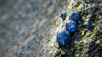 Blue mineral crystals embedded in rough stone surface with natural texture and geological formation details for educational and scientific content.