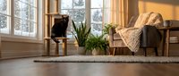 Cozy living room interior with comfortable armchair, soft throw blanket, houseplants and warm natural lighting from large windows creating peaceful home atmosphere.