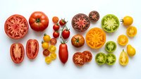 Colorful variety of fresh tomatoes in different sizes and colors including red, yellow, green and orange heirloom varieties sliced and whole on white background.