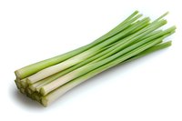 Fresh green lemongrass stalks isolated on white background, aromatic Asian herb showing pale bottom and vibrant green tops, culinary ingredient for cooking.