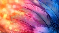 Vibrant feathers in pink, purple and blue tones with golden bokeh lights background create dreamy, ethereal mood for creative designs and decorative projects.