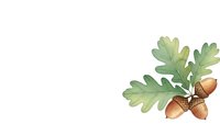 Oak branch with acorns and green leaves isolated on white background for autumn seasonal designs and nature projects.