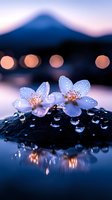 Delicate cherry blossoms with water drops on dark stone against mountain silhouette at twilight, creating magical reflection in calm water surface.