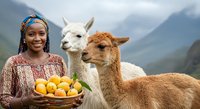 Young woman with dark skin tone and blue braided hairstyle holding basket of golden potatoes beside white and brown alpacas in mountain valley setting. Agricultural and farming lifestyle portrait.