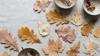Autumn dried leaves collection arranged on white background with ceramic bowls, perfect for seasonal crafts and natural decoration projects.
