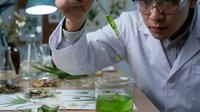 Scientist in white lab coat and safety glasses conducting botanical research, examining green plant extract in glass beaker under bright laboratory lighting, studying natural organic compounds for pharmaceutical or cosmetic development.