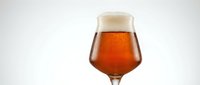 Craft beer glass with amber ale and foam head isolated on white background for brewery marketing and beverage advertising campaigns.