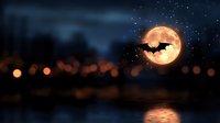 Spooky Halloween night scene with full moon, flying bat silhouette and starry sky reflecting on water surface for seasonal horror themed designs.