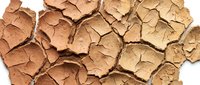 Cracked and dried earth texture with deep fissures and brown soil patterns, suitable for environmental, climate change, drought, and nature-themed projects.