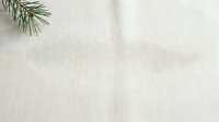 Minimalist flat lay composition with fresh green pine branch on neutral beige linen fabric background, ideal for seasonal, holiday, and wellness design projects.