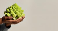Close-up of hand holding fresh green romanesco broccoli with fractal florets against neutral background. Suitable for healthy eating, nutrition, organic produce, and food photography.