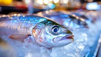 Fresh raw fish on crushed ice with vibrant blue and silver scales, dramatic bokeh lighting in background, close-up macro shot showing texture and detail.