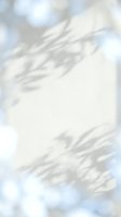 Soft blurred abstract background with gentle white and blue tones creating dreamy atmospheric texture for design projects and creative layouts.