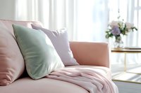 Soft pink sofa with mint green and gray velvet pillows, cozy throw blanket in modern bright living room interior with flowers on side table near window.