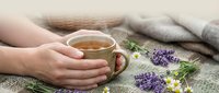 Hands holding warm herbal tea cup with lavender and chamomile flowers on cozy knitted blanket. Relaxation and wellness concept for spa treatments.
