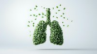 Green leaves forming human lungs shape with scattered foliage on light background, representing environmental health and natural healing concept for respiratory wellness.