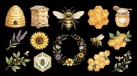 Honey bee, beehive, honeycomb, and floral elements isolated on transparent background. Ready for t-shirt design, clipart, stickers, sublimation, and print-on-demand products.