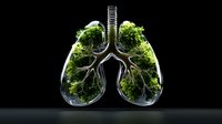 Glass lungs filled with green plants and moss on black background, representing environmental health and nature connection. Medical concept showing respiratory system.