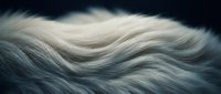 Flowing abstract waves in soft gray and beige tones create elegant motion blur effect for modern design projects and artistic backgrounds.