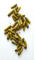 Pickled gherkins and dill arranged on white background, ready for food packaging, recipe blogs, culinary websites, and restaurant menus.