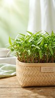 Fresh microgreens growing in woven basket on wooden surface with natural window light, suitable for organic food, wellness, and healthy lifestyle marketing materials.
