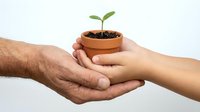 Adult and child hands holding a small terracotta pot with a green seedling, symbolizing growth, care, and environmental responsibility.